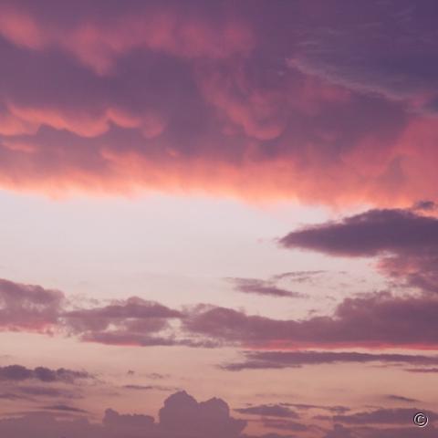 Roze wolkenlucht