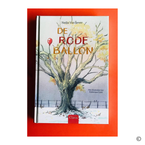 Boek De Rode Ballon